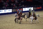 Quadrille - 00201